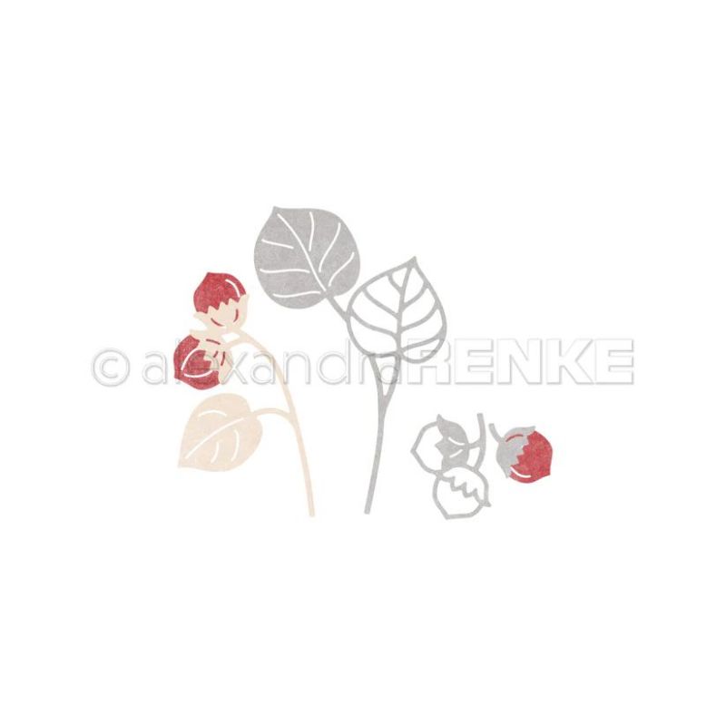 Piggy Craft metal cutting dies - Stencil Cutting Plotter recension och pris