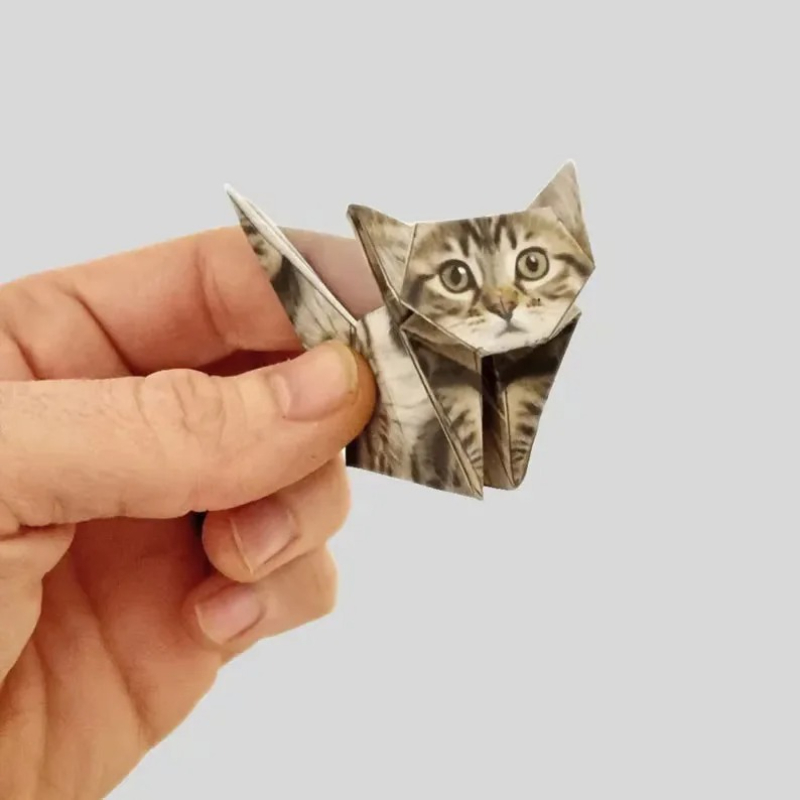Creative DIY Paper Cats 50 She - Dinosaur And Craft recension och pris