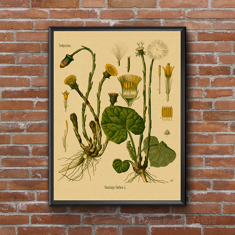 1pc frameless Plant Flower Stu - Art Craft Items recension och pris