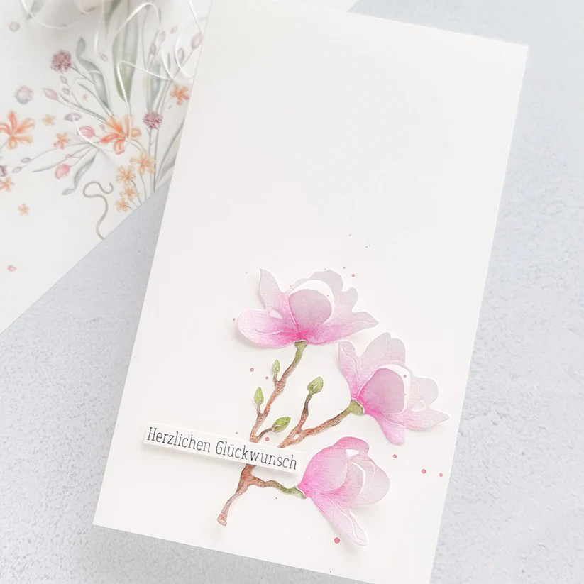 Piggy Craft metal cutting dies - Stencil Cutting Plotter recension och pris