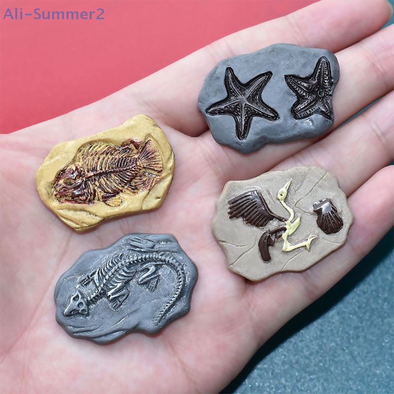 Mini Dinosaur Fossil Model Set - Dinosaur And Craft recension och pris