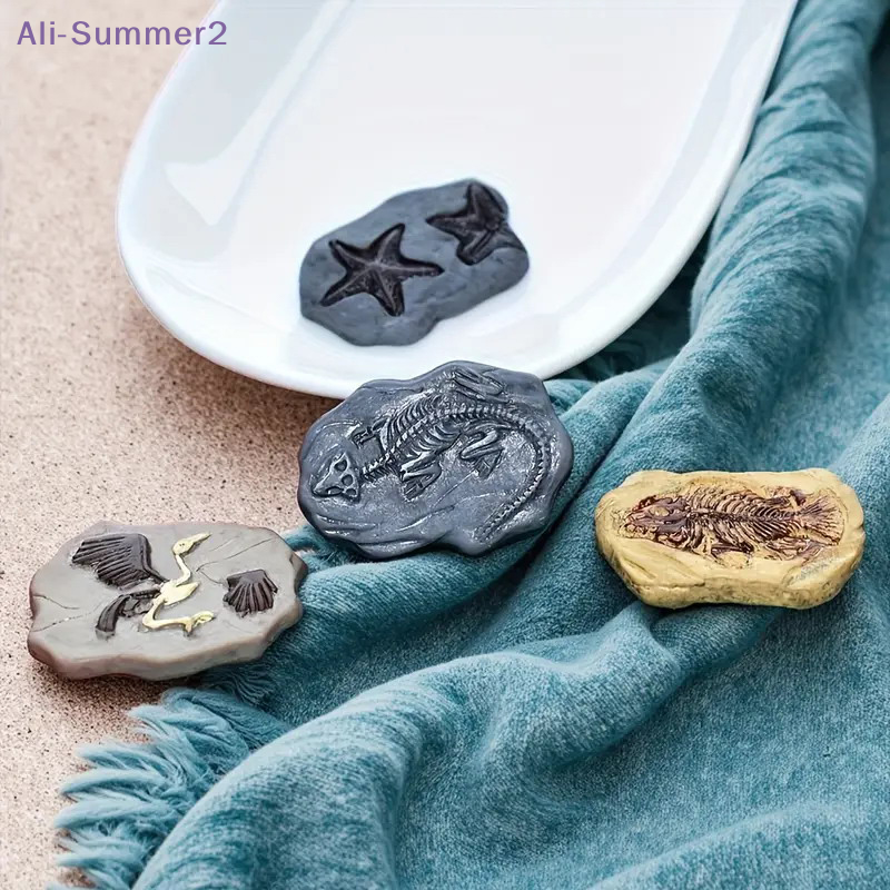 Mini Dinosaur Fossil Model Set - Dinosaur And Craft recension och pris
