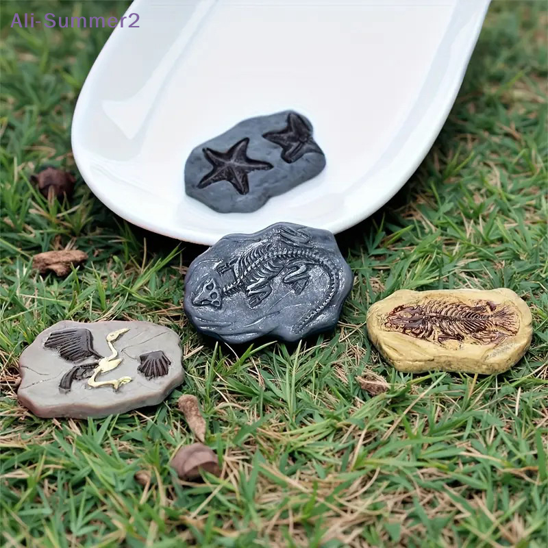 Mini Dinosaur Fossil Model Set - Dinosaur And Craft recension och pris