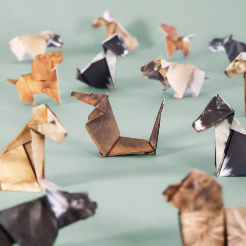 DIY Origami Paper Kit, Cat Pup - Dinosaur And Craft recension och pris
