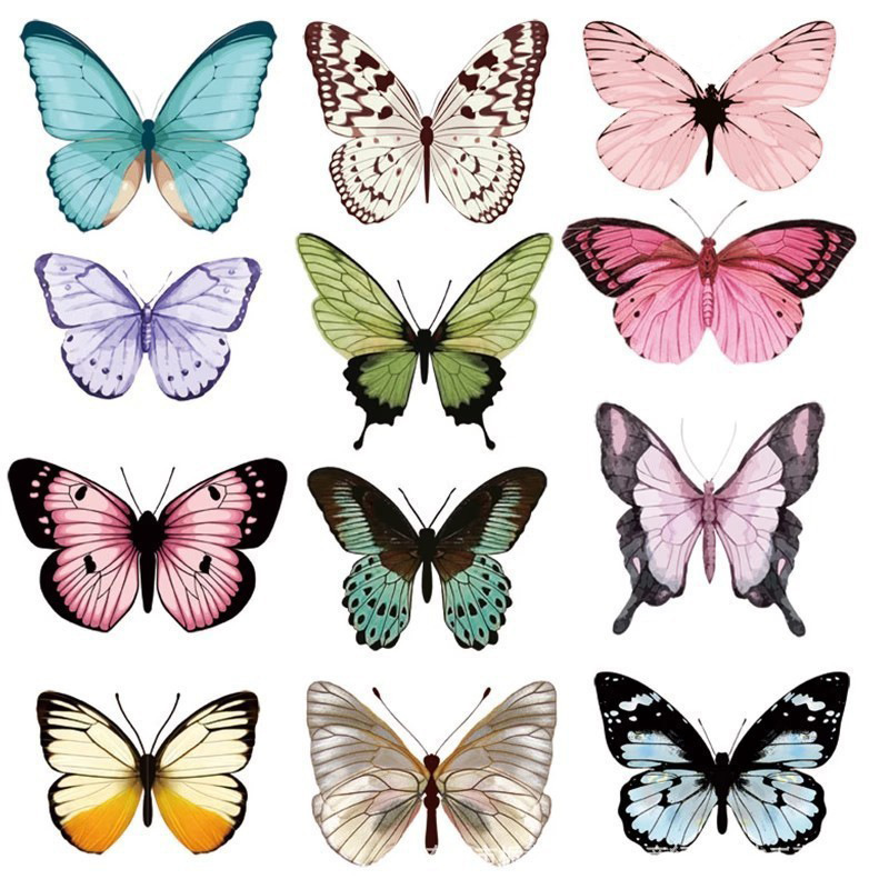 12pcs 3D Butterfly Wall Sticke - Art Craft Halloween recension och pris