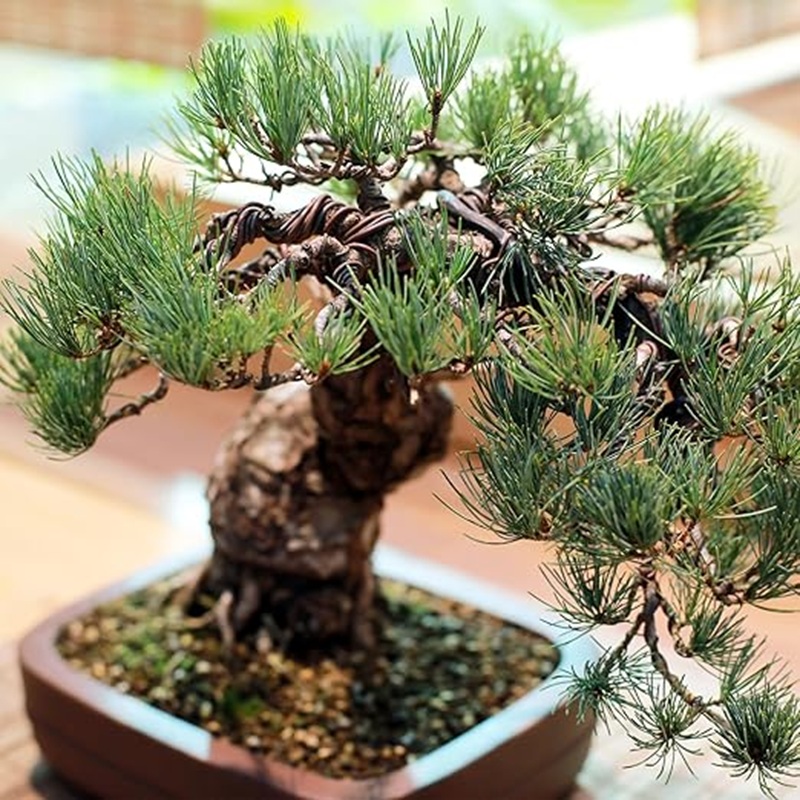 1mm Black Aluminum Bonsai Wire - Art Craft Wire recension och pris